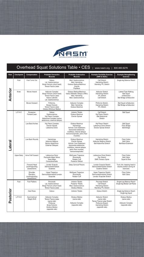 nasm nutrition certification study guide